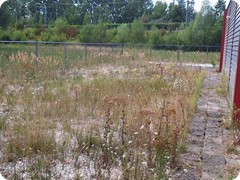 2026-08-02 Tuinklussen 11